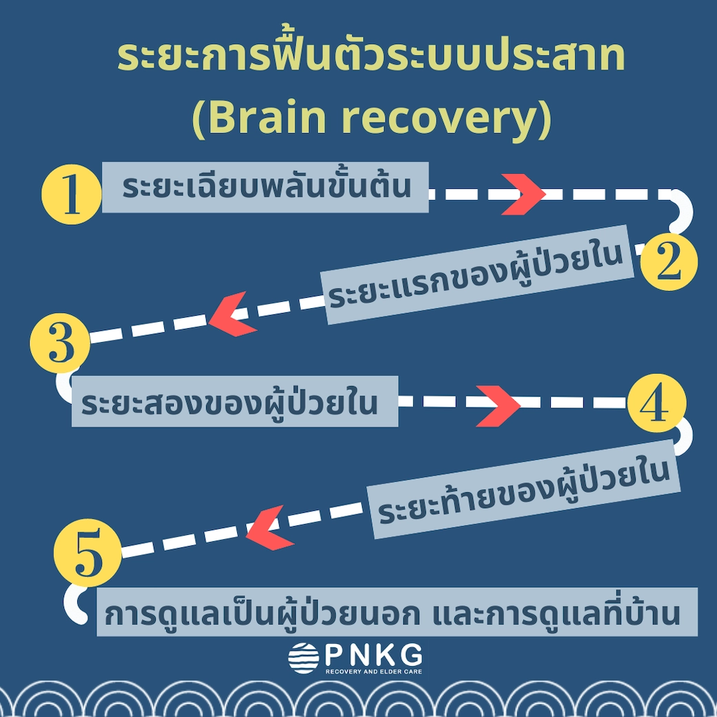 Brain Recovery