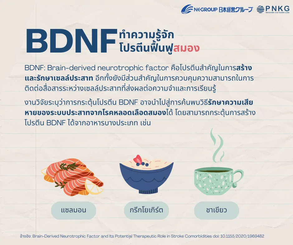 BDNF Image